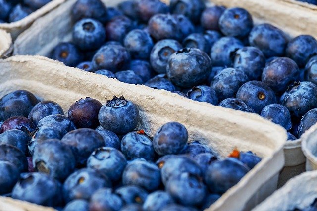 How Long Do Blueberries Last in the Fridge