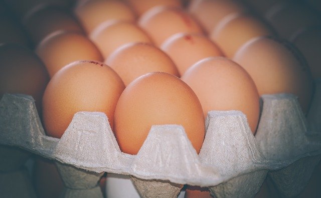 Does Freezing Eggs Kill Salmonella