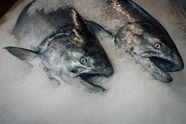 Does Freezing Fish Kill Bacteria