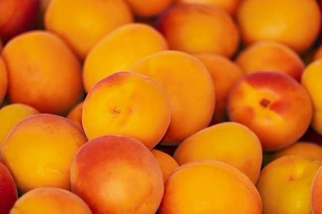 Can You Refrigerate Apricots