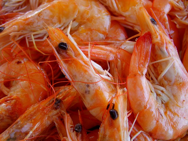 Can You Refreeze Shrimp After Thawing