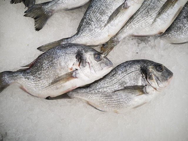 Fish in Freezer for 2 Years