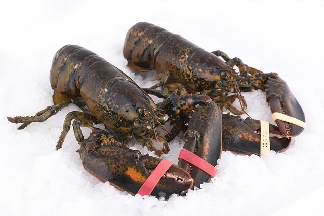 Can You Freeze Uncooked Lobster