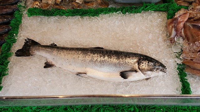 Does Freezing Salmon Kill Parasites