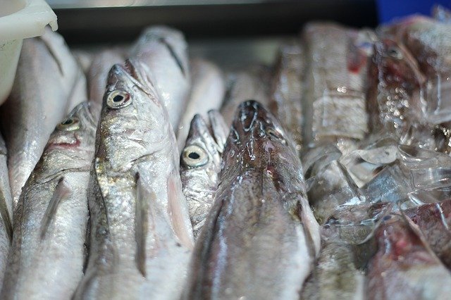 Can You Refreeze Defrosted Fish Foods Questions